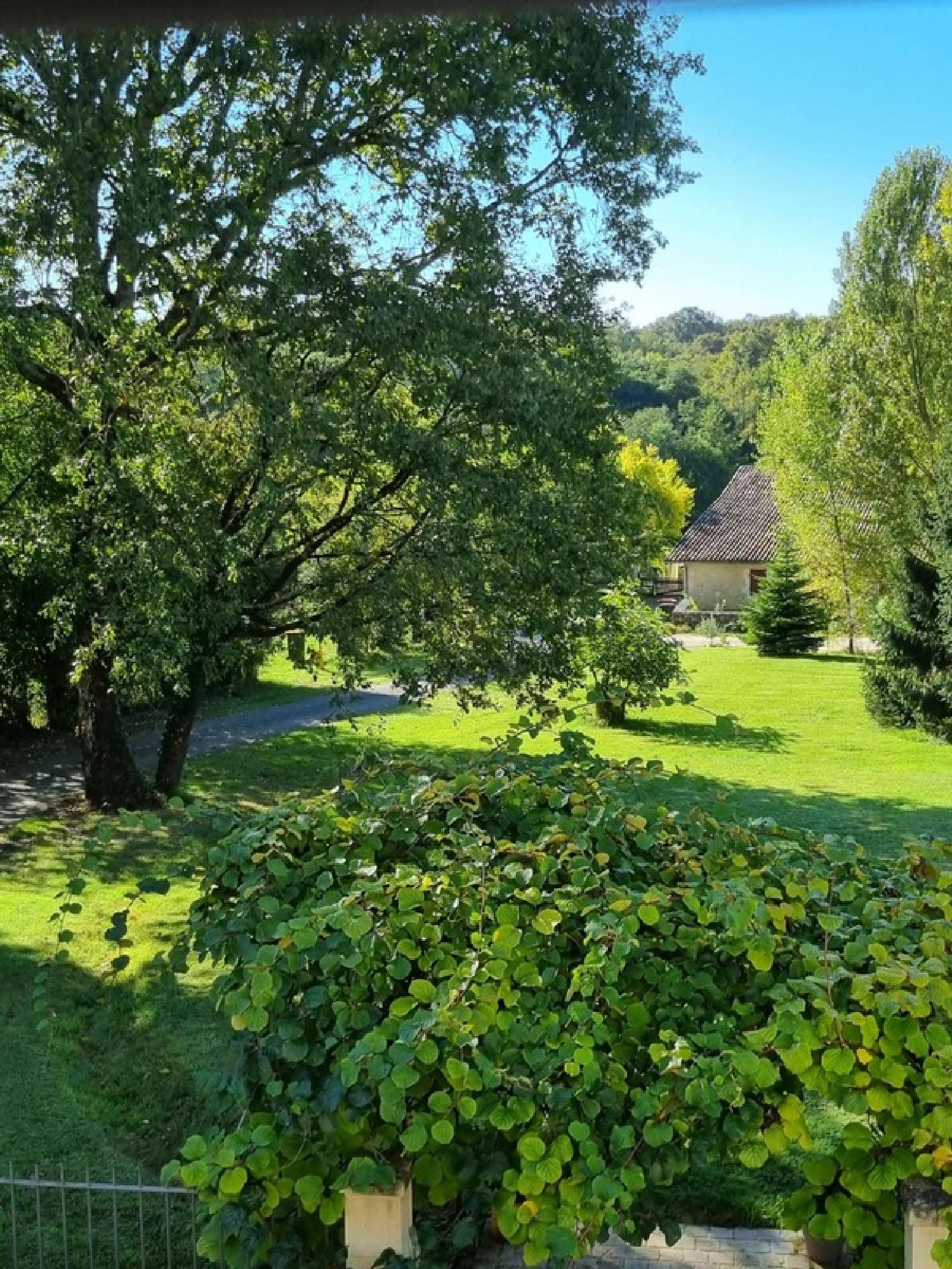  te koop boerderij Salleboeuf Gironde 4