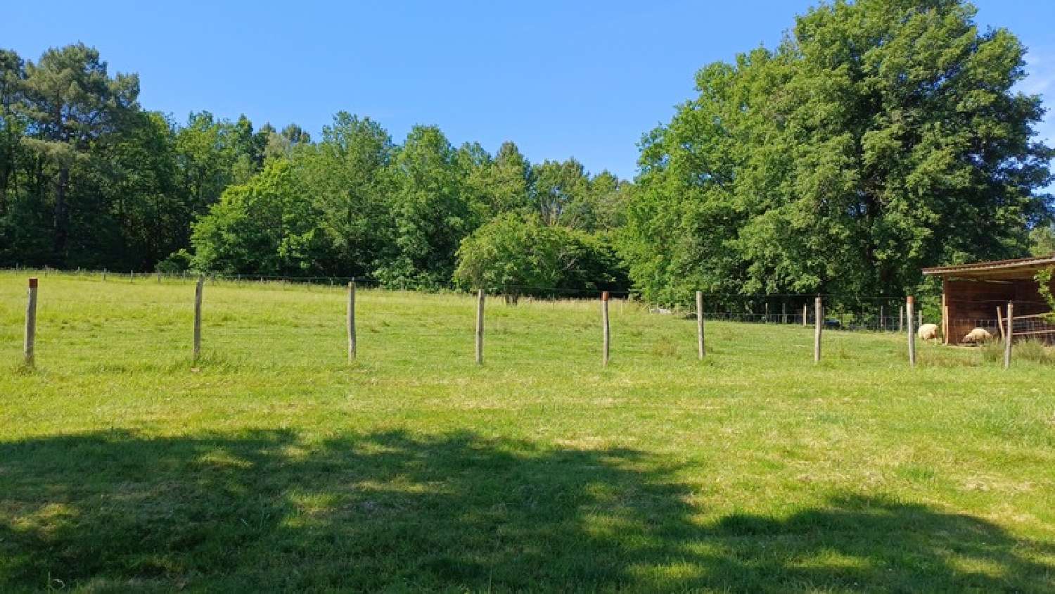à vendre ferme Thenon Dordogne 7