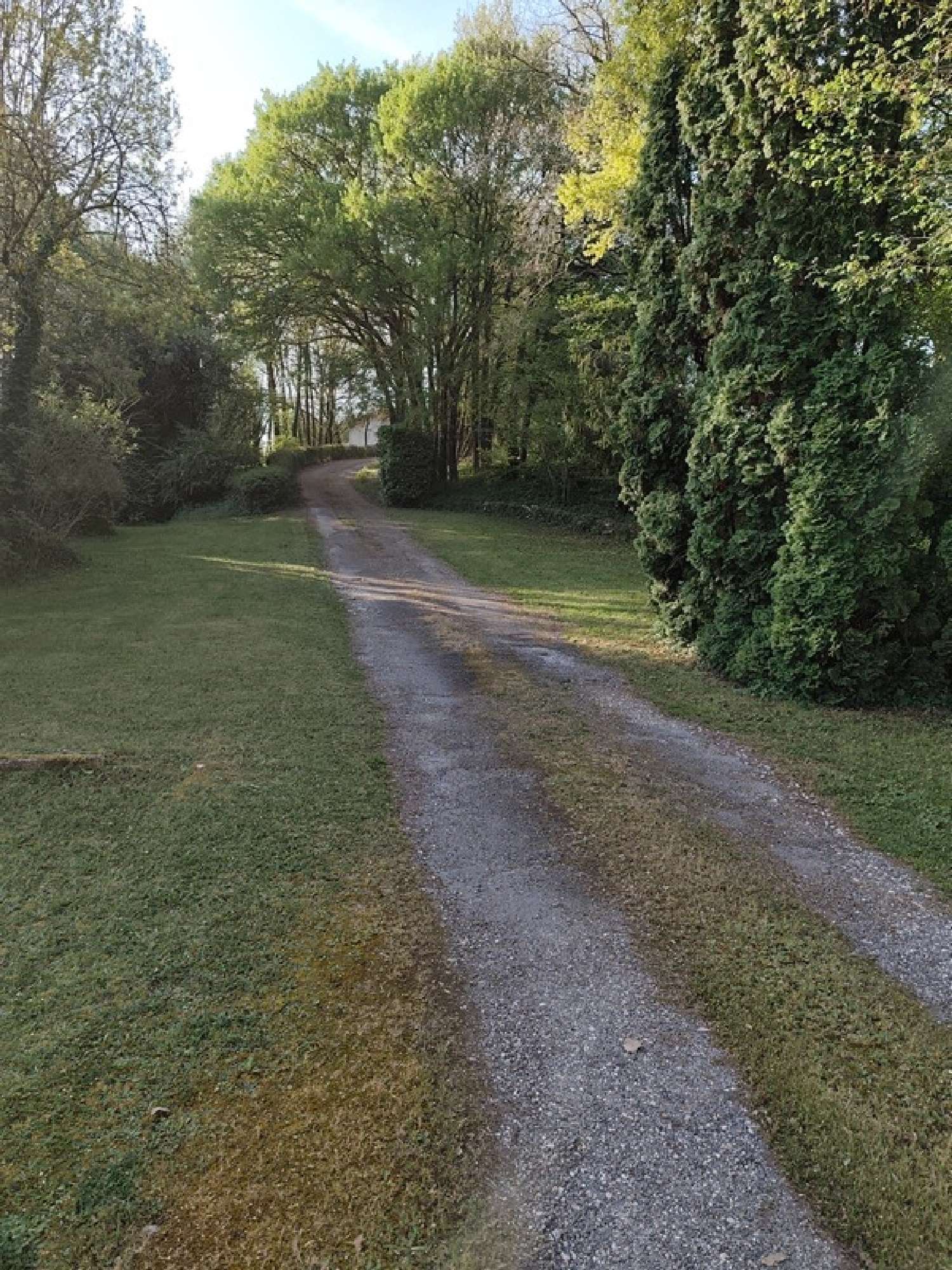  for sale farm Voeuil-et-Giget Charente 7