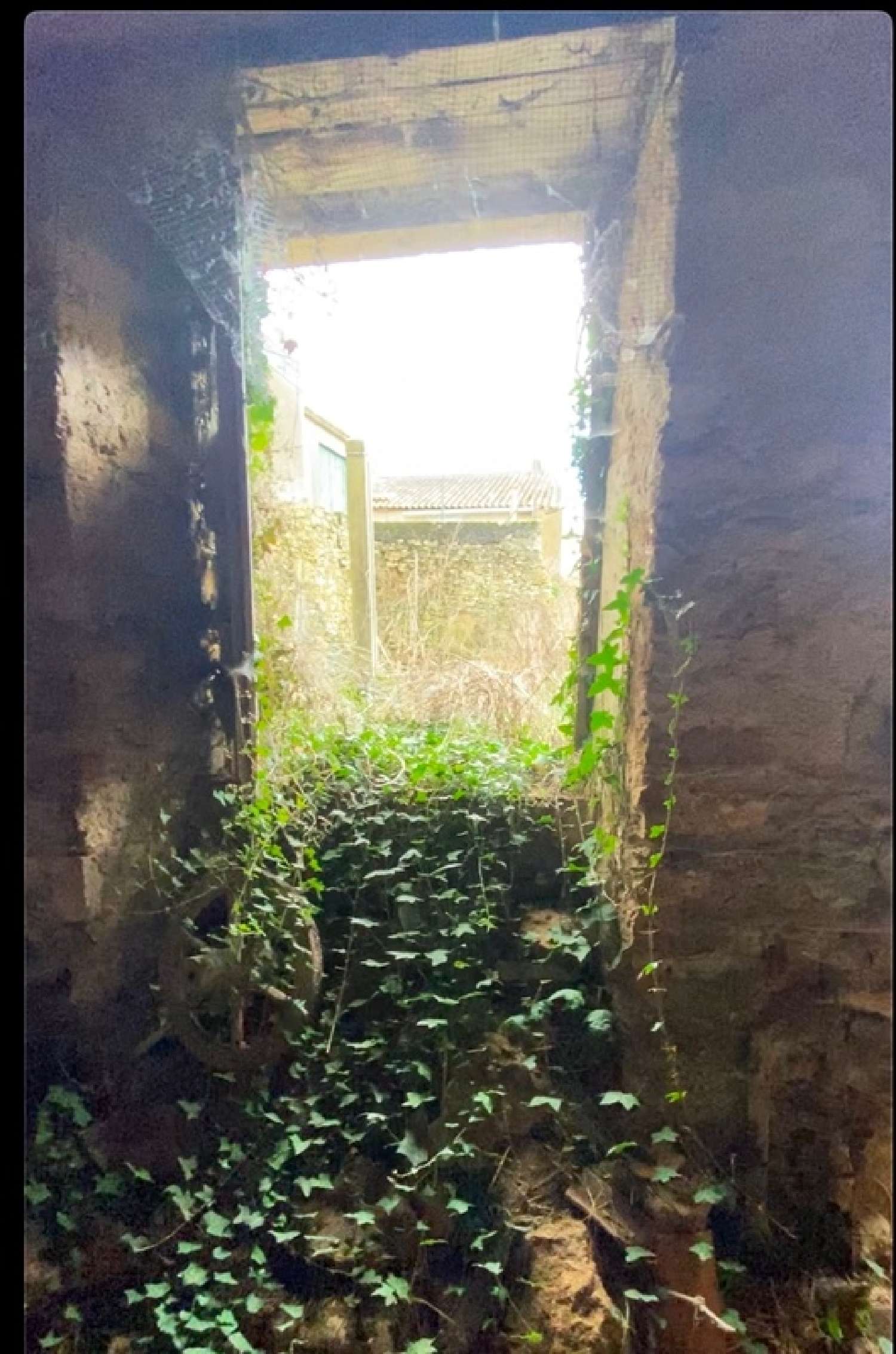  te koop huis Airvault Deux-Sèvres 1