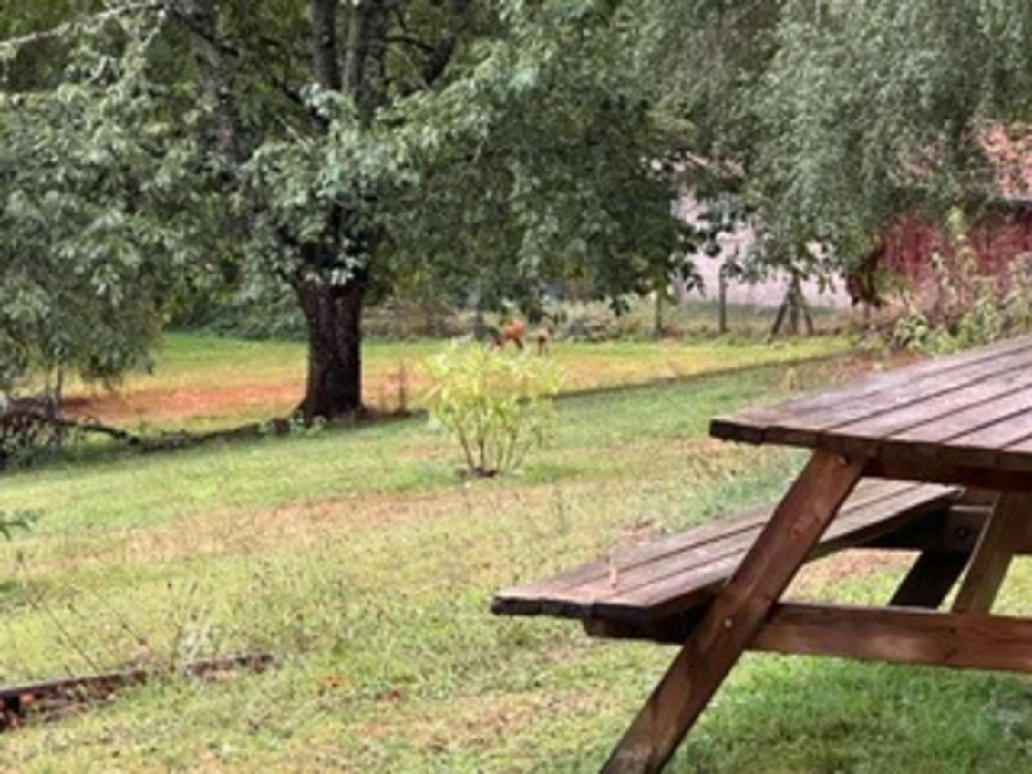 à vendre maison Ambazac Haute-Vienne 7