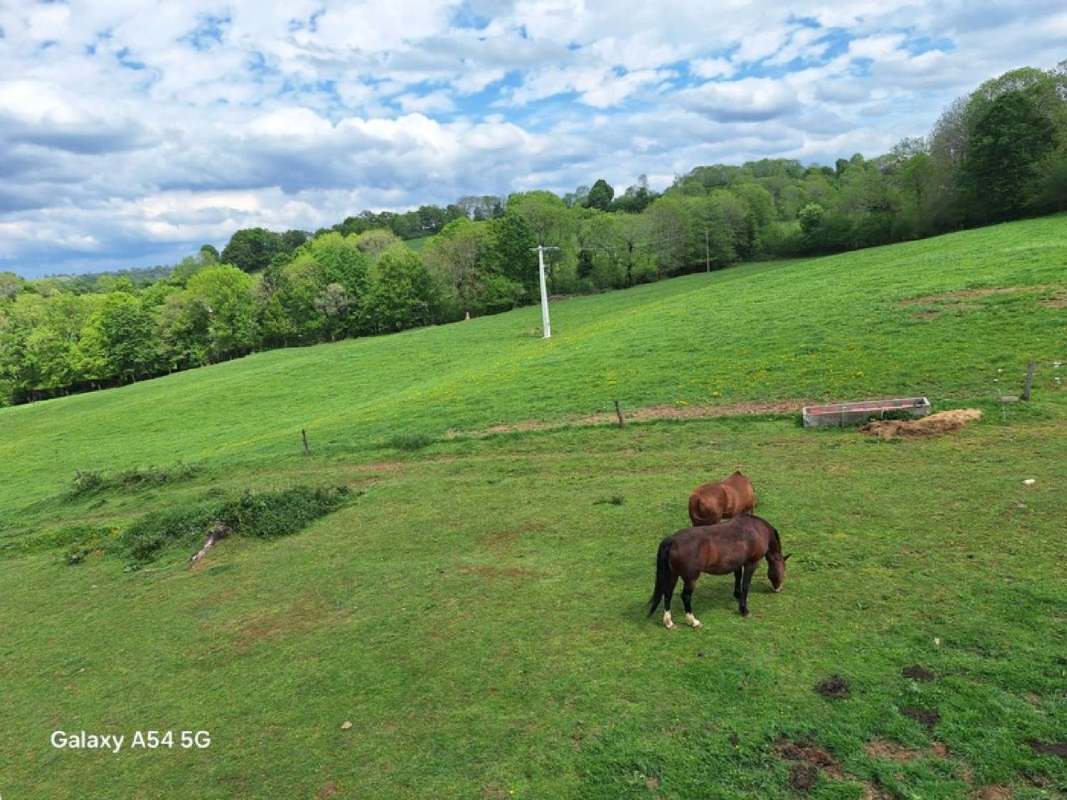  à vendre maison Anglards-de-Salers Cantal 5