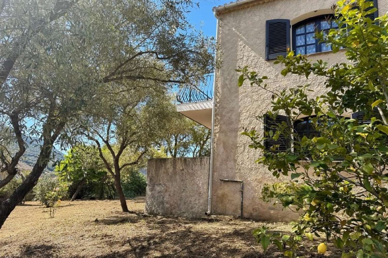  à vendre maison Appietto Corse-du-Sud 5