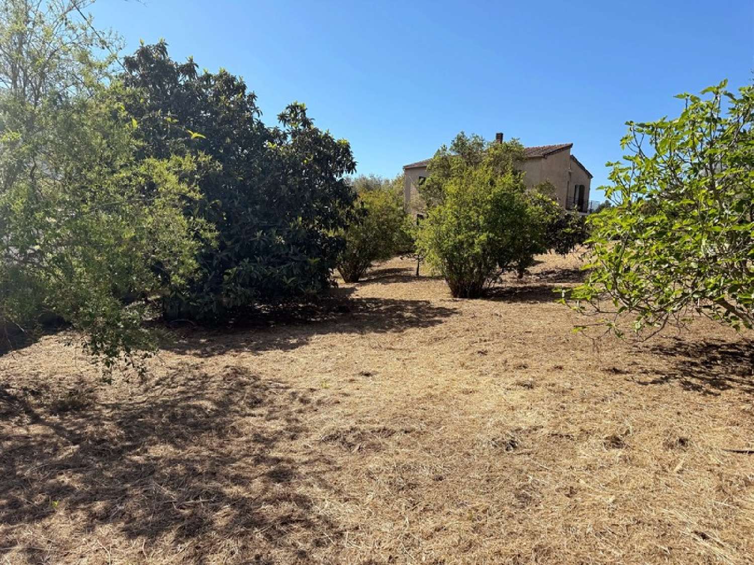  à vendre maison Appietto Corse-du-Sud 6