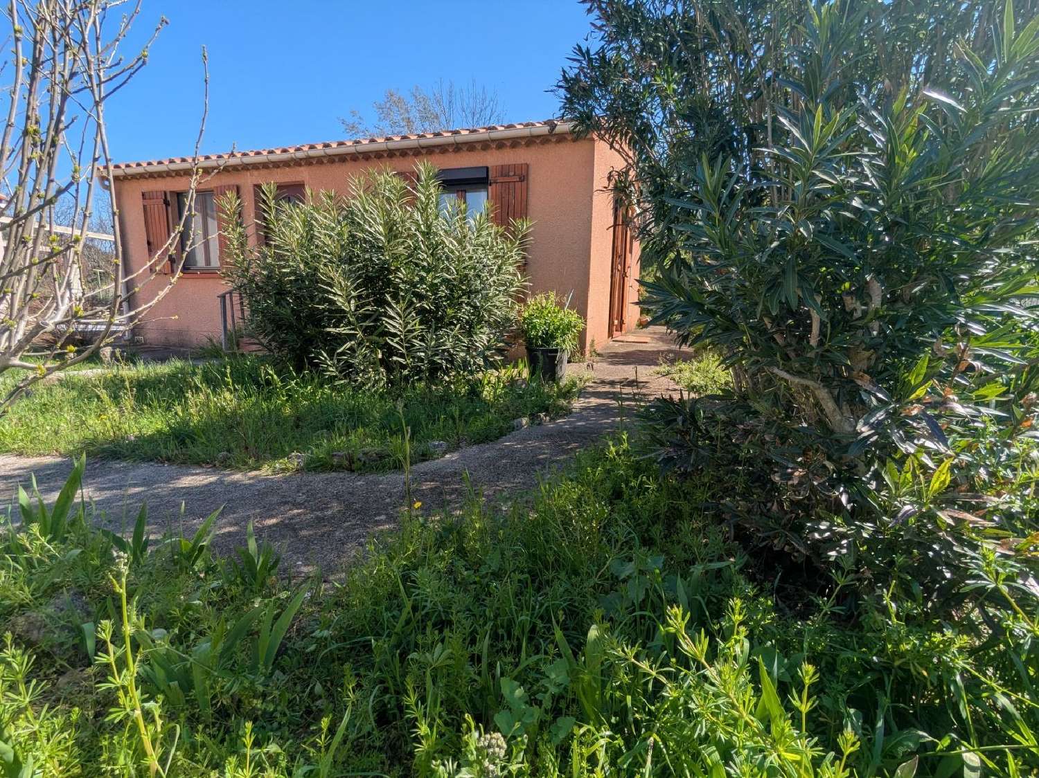  kaufen Haus Arles-sur-Tech Pyrénées-Orientales 1