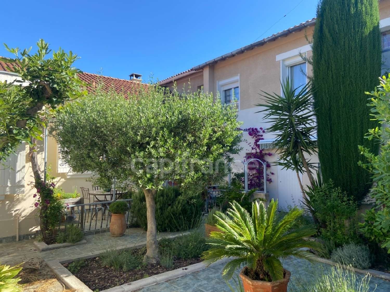 kaufen Haus Avignon Vaucluse 1