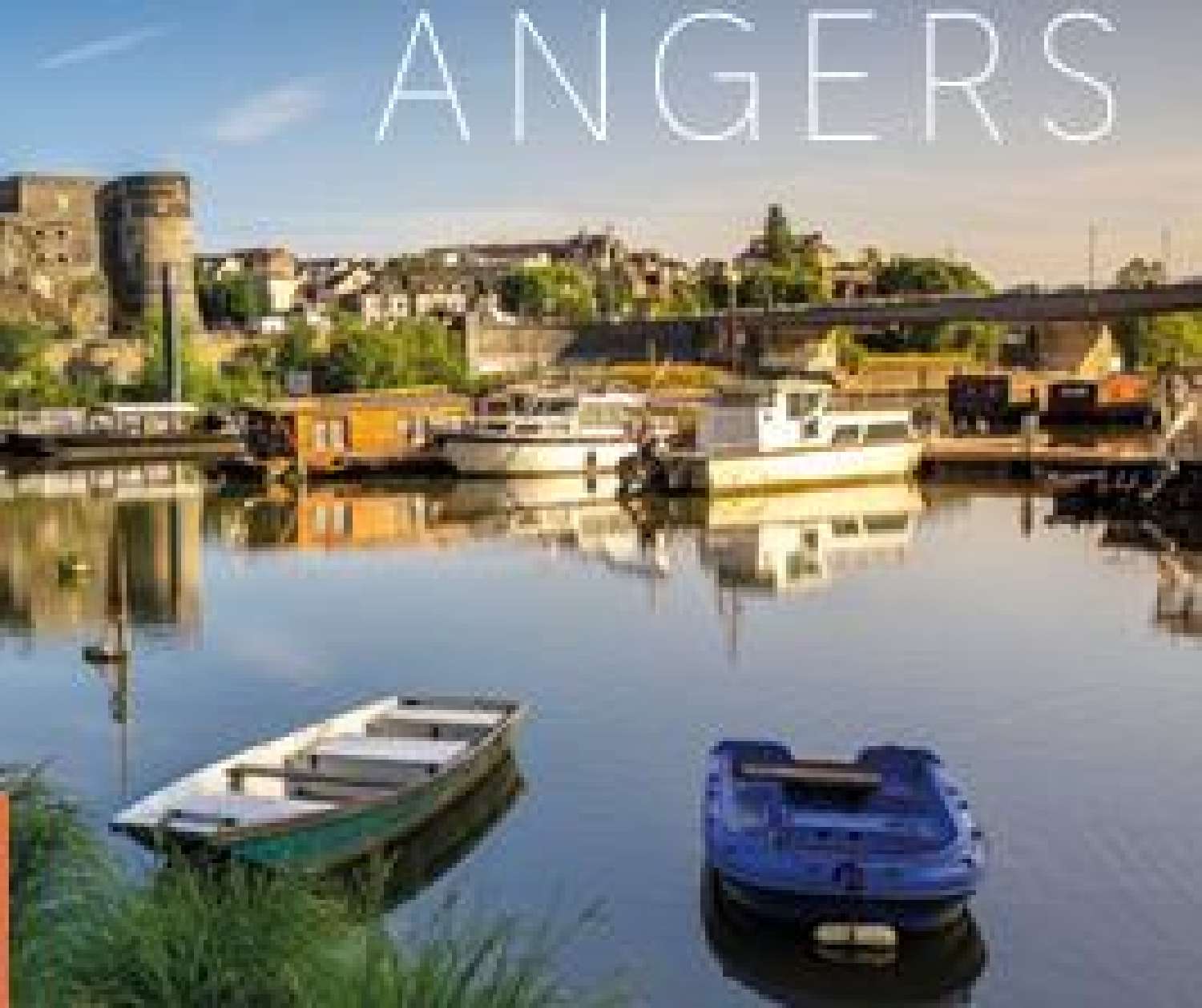  à vendre maison Avrillé Maine-et-Loire 3