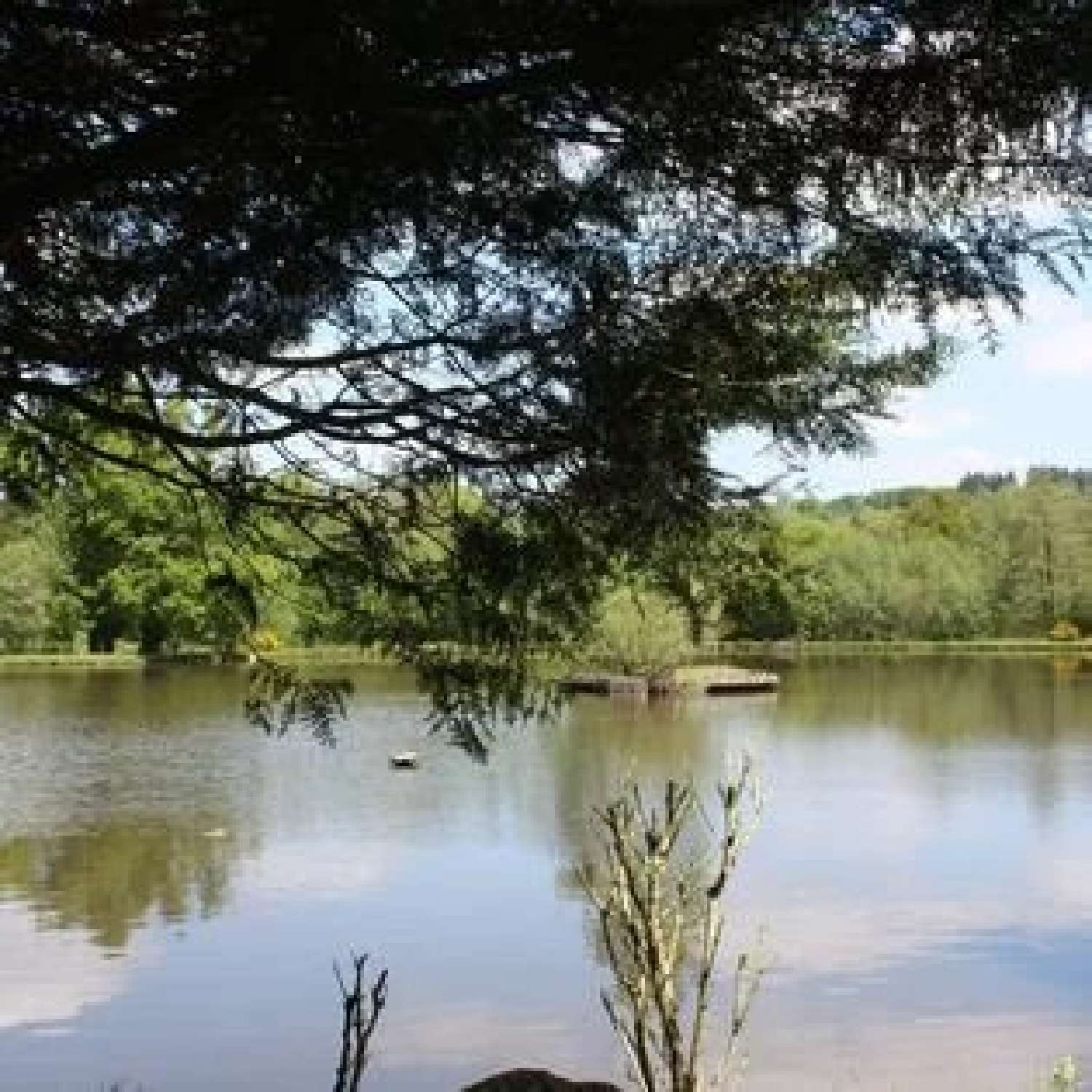 à vendre maison Balledent Haute-Vienne 4