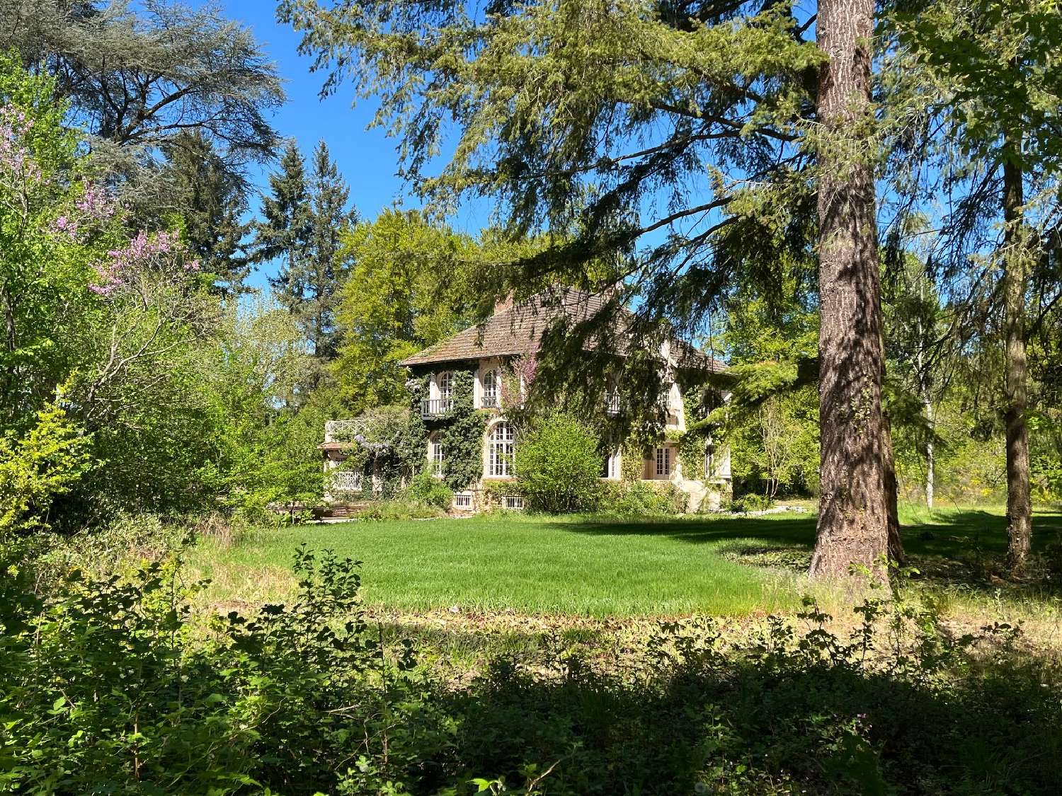  for sale house Barbizon Seine-et-Marne 8