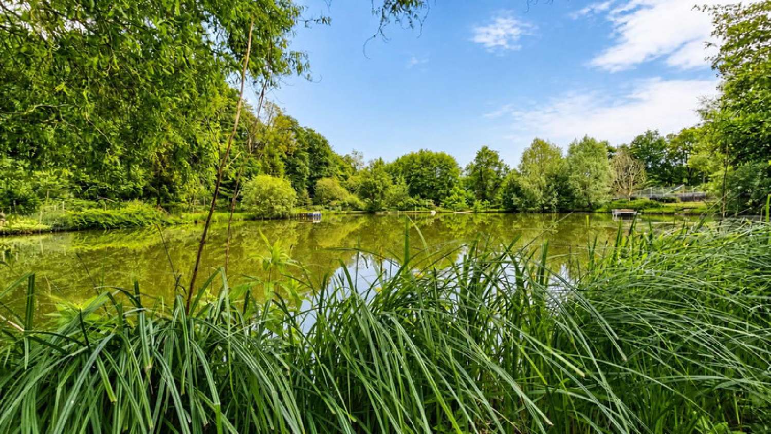 à vendre maison Baugé-en-Anjou Maine-et-Loire 2