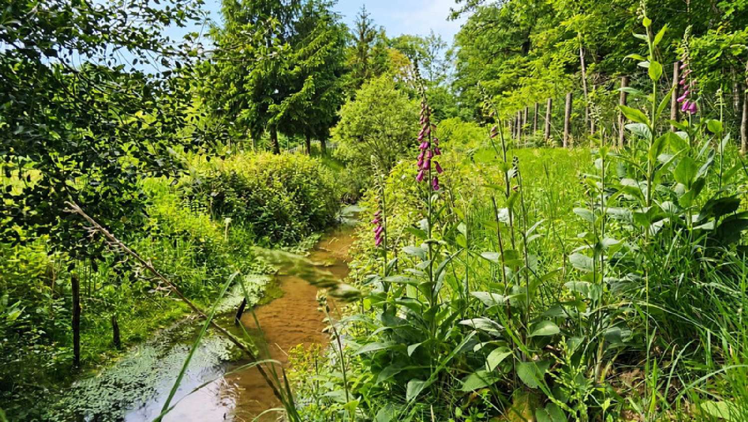 à vendre maison Baugé-en-Anjou Maine-et-Loire 8