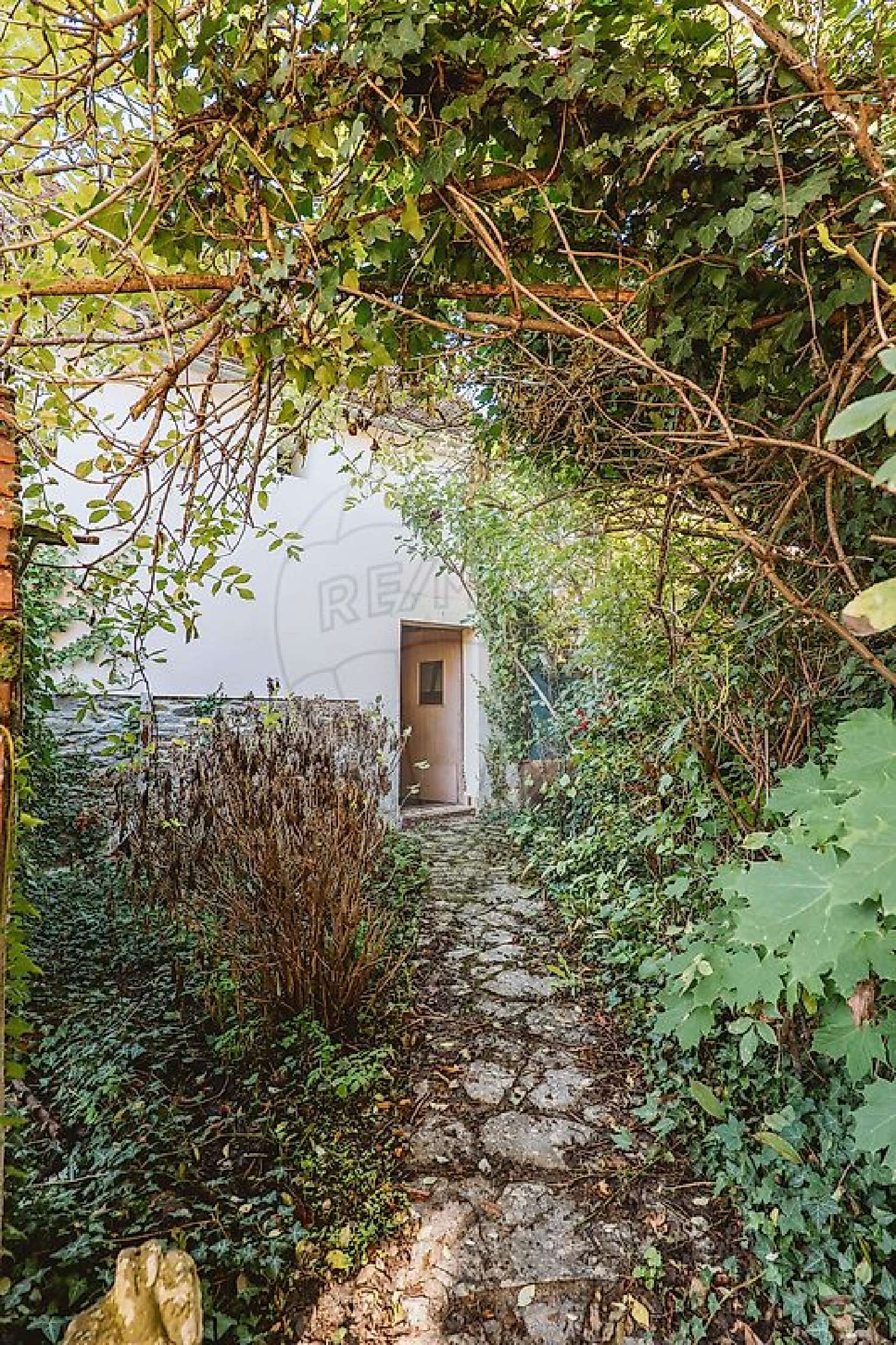  for sale house Bellenaves Allier 3