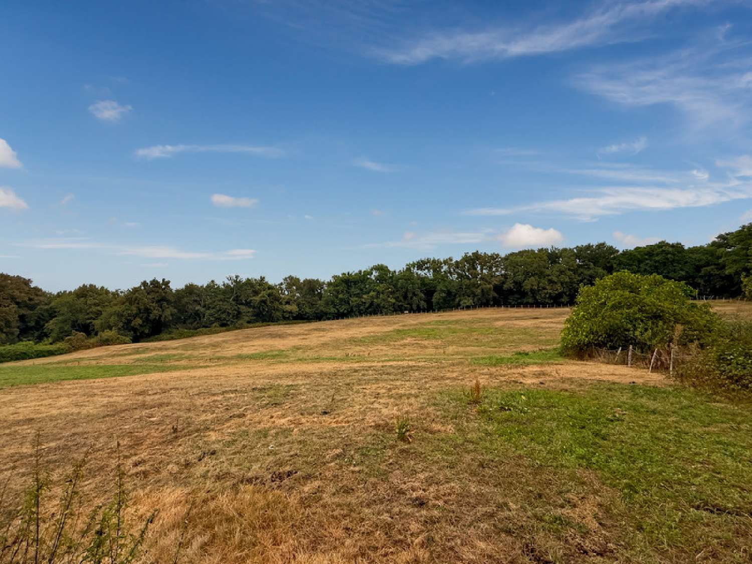  en venta casa Bernède Gers 3