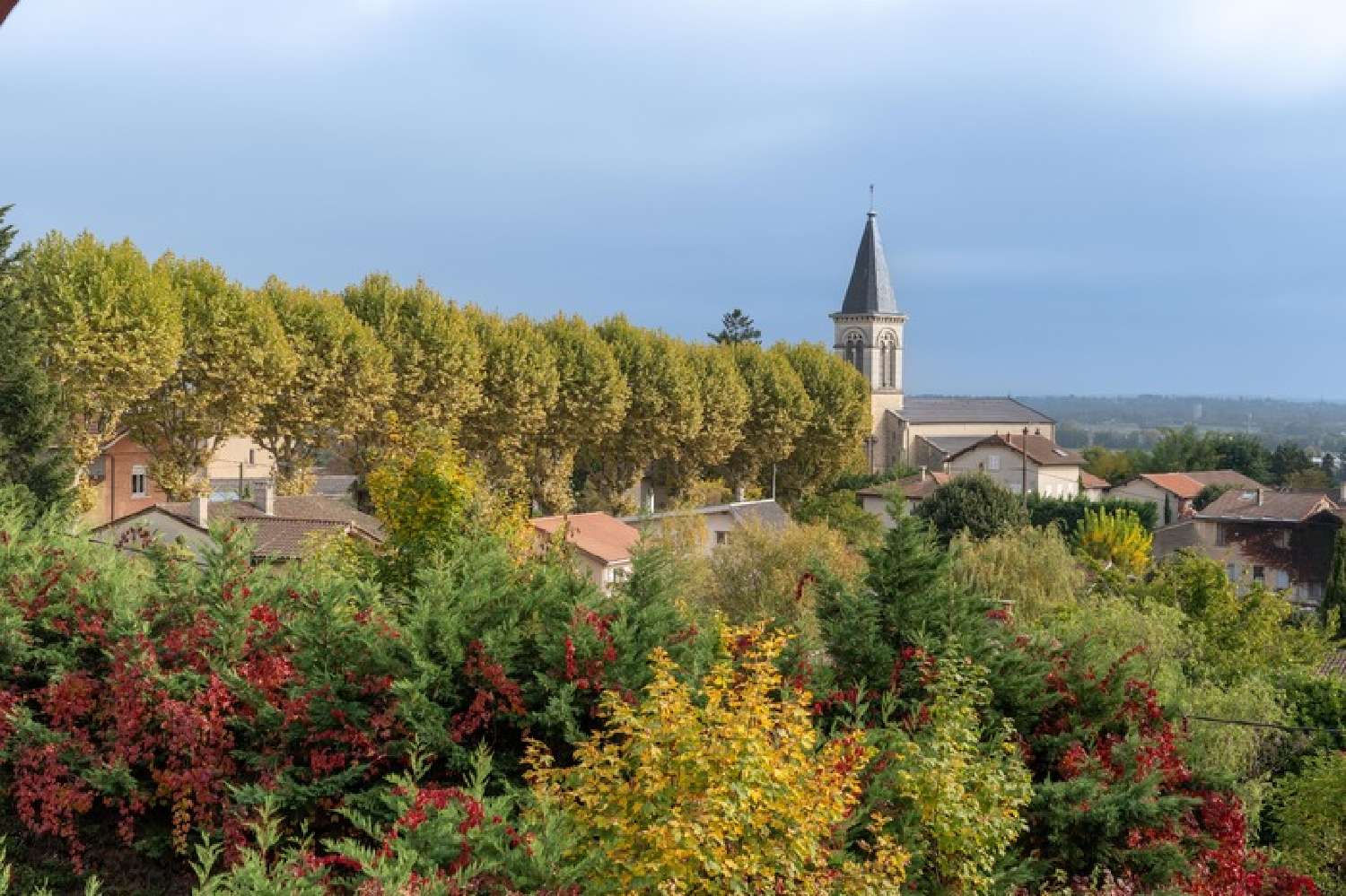  à vendre maison Beynost Ain 4