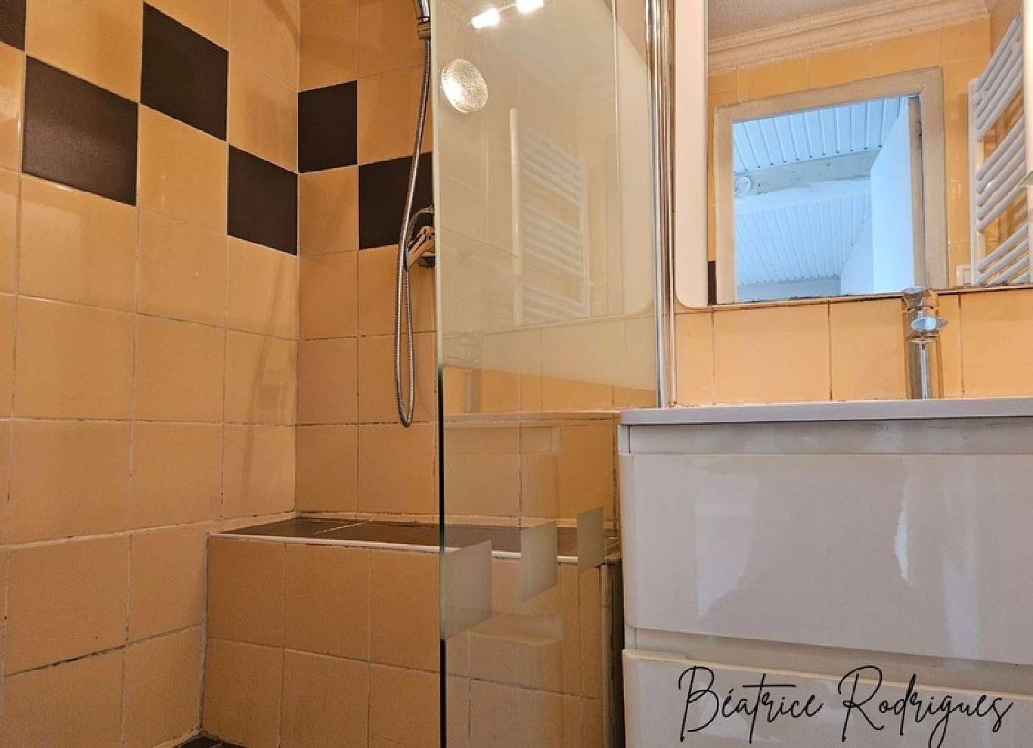  for sale house Bonson Loire 8
