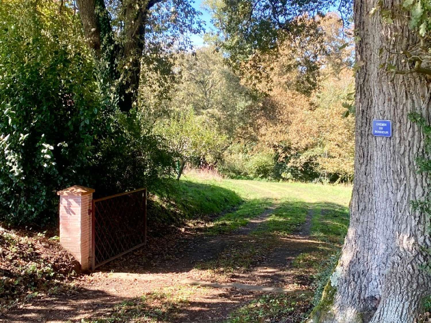  for sale house Bougue Landes 5