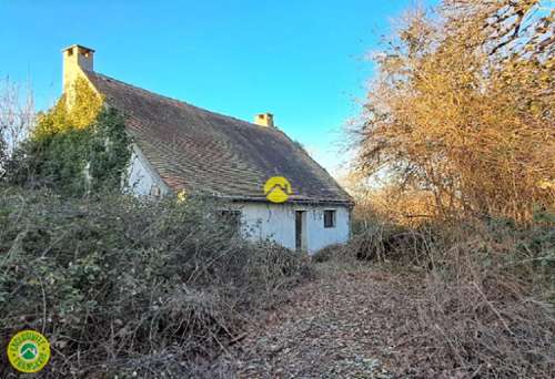 Buxières-les-Mines Allier huis foto 7339619