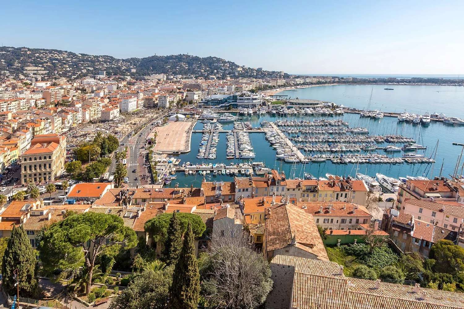  for sale house Cannes Alpes-Maritimes 7