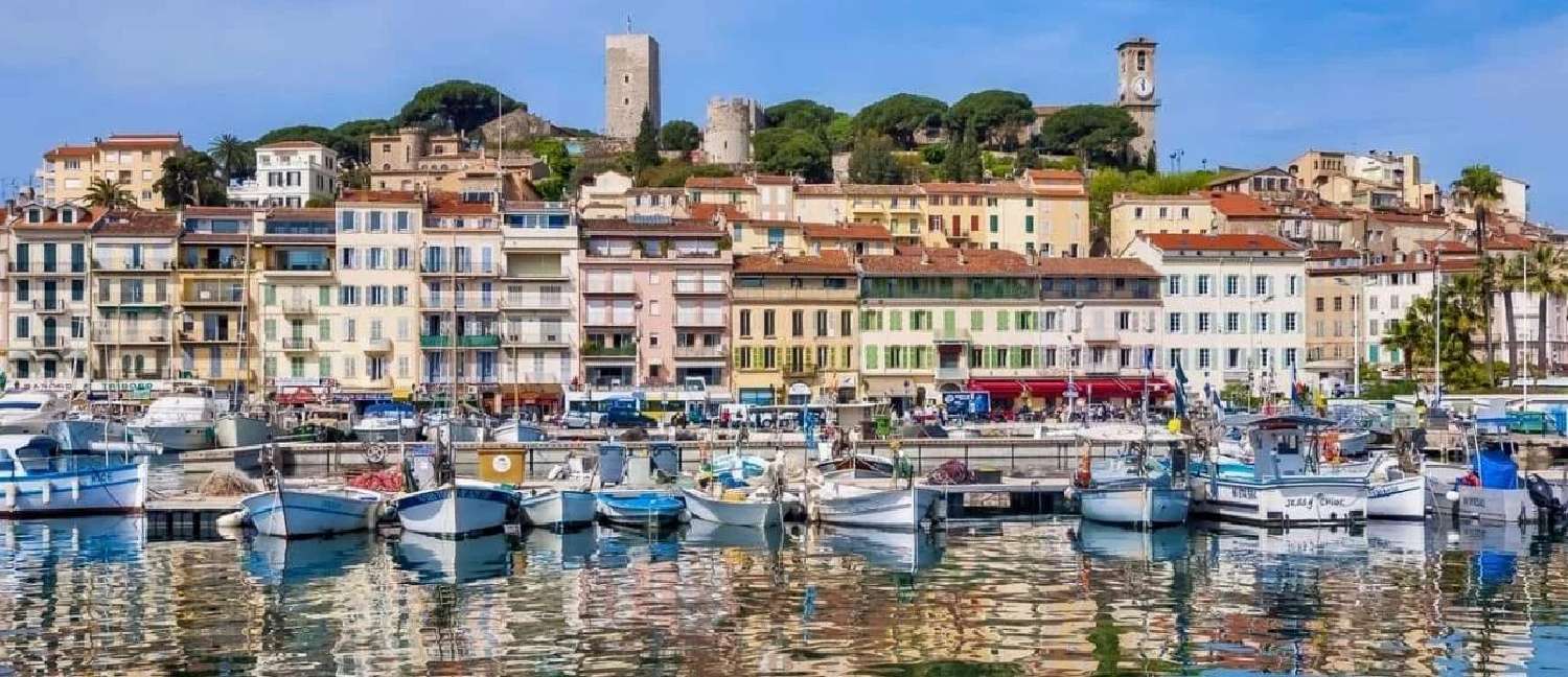  for sale house Cannes Alpes-Maritimes 8
