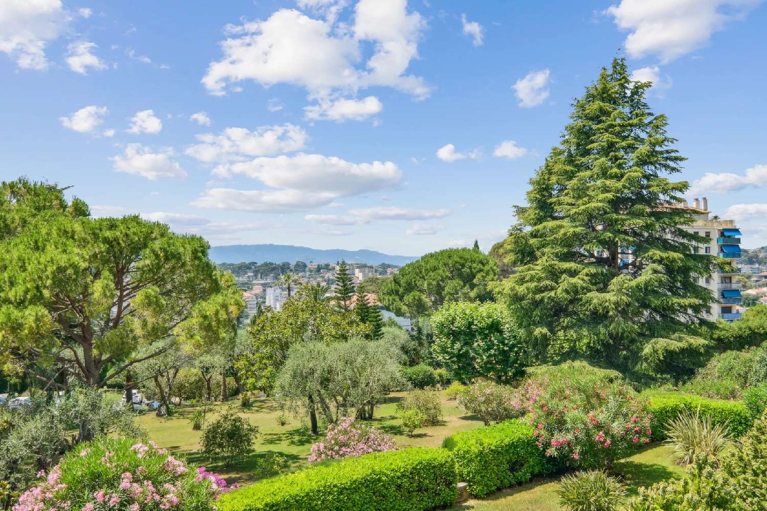  for sale house Cannes Alpes-Maritimes 1