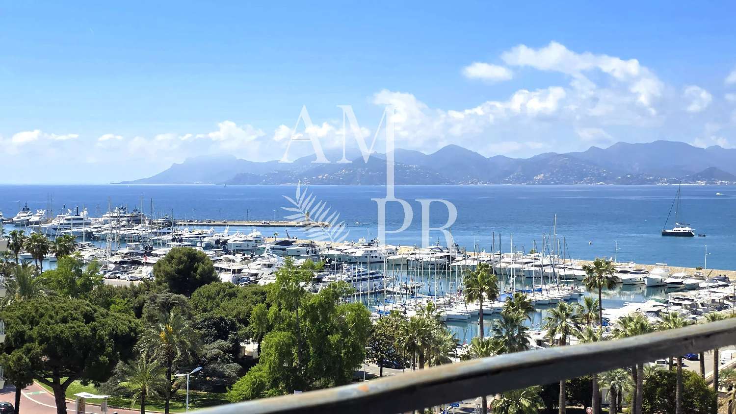 for sale house Cannes Alpes-Maritimes 1