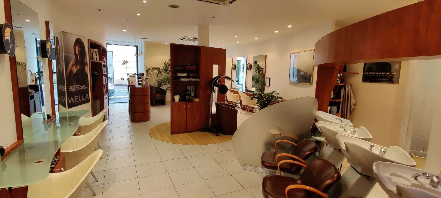  te koop huis Cannes Alpes-Maritimes 1