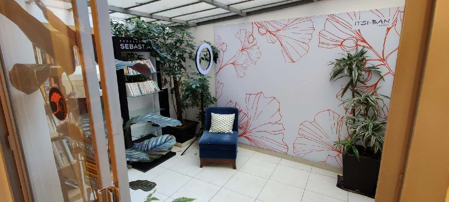  te koop huis Cannes Alpes-Maritimes 2