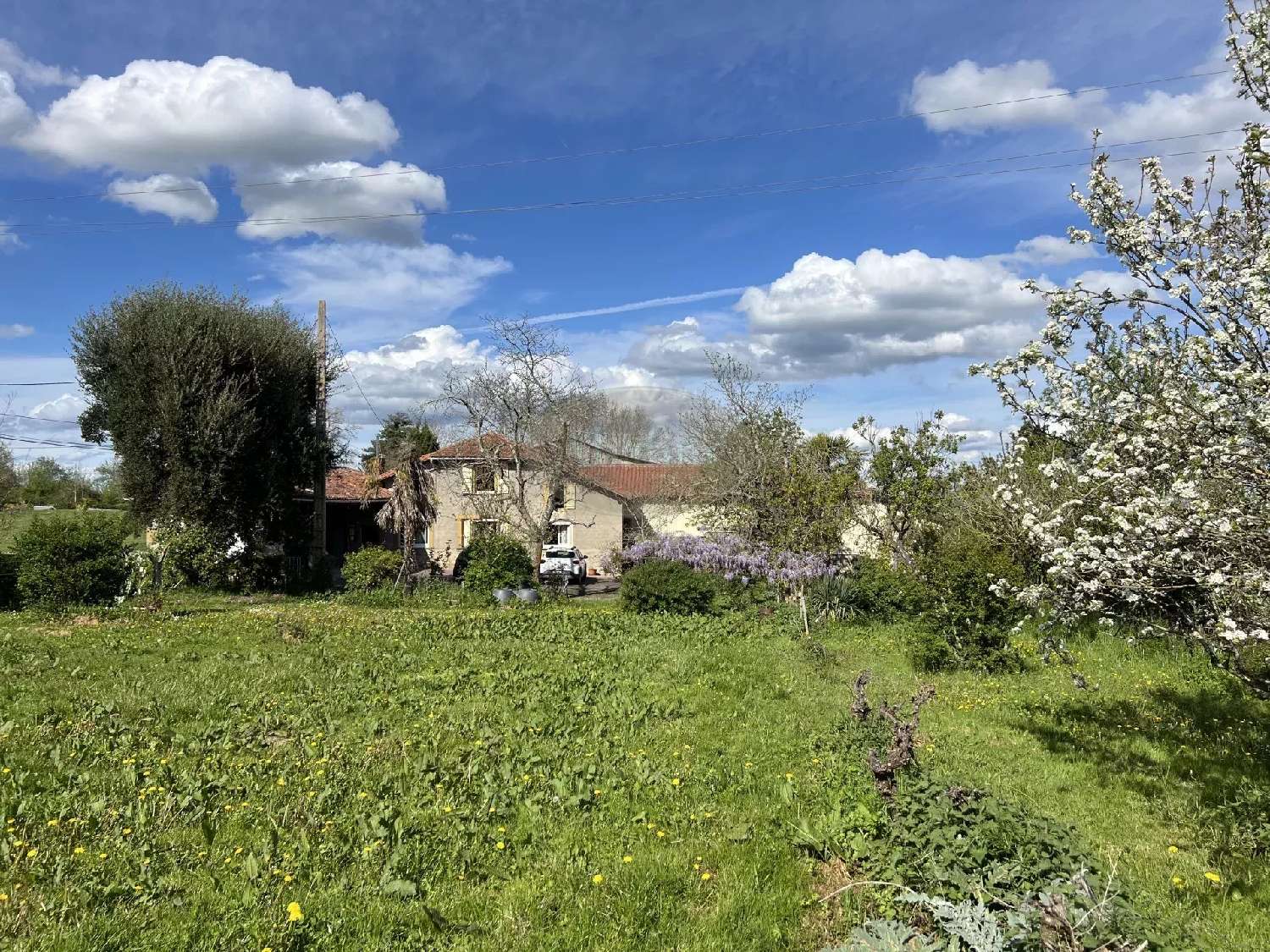  à vendre maison Cassagnabère-Tournas Haute-Garonne 4