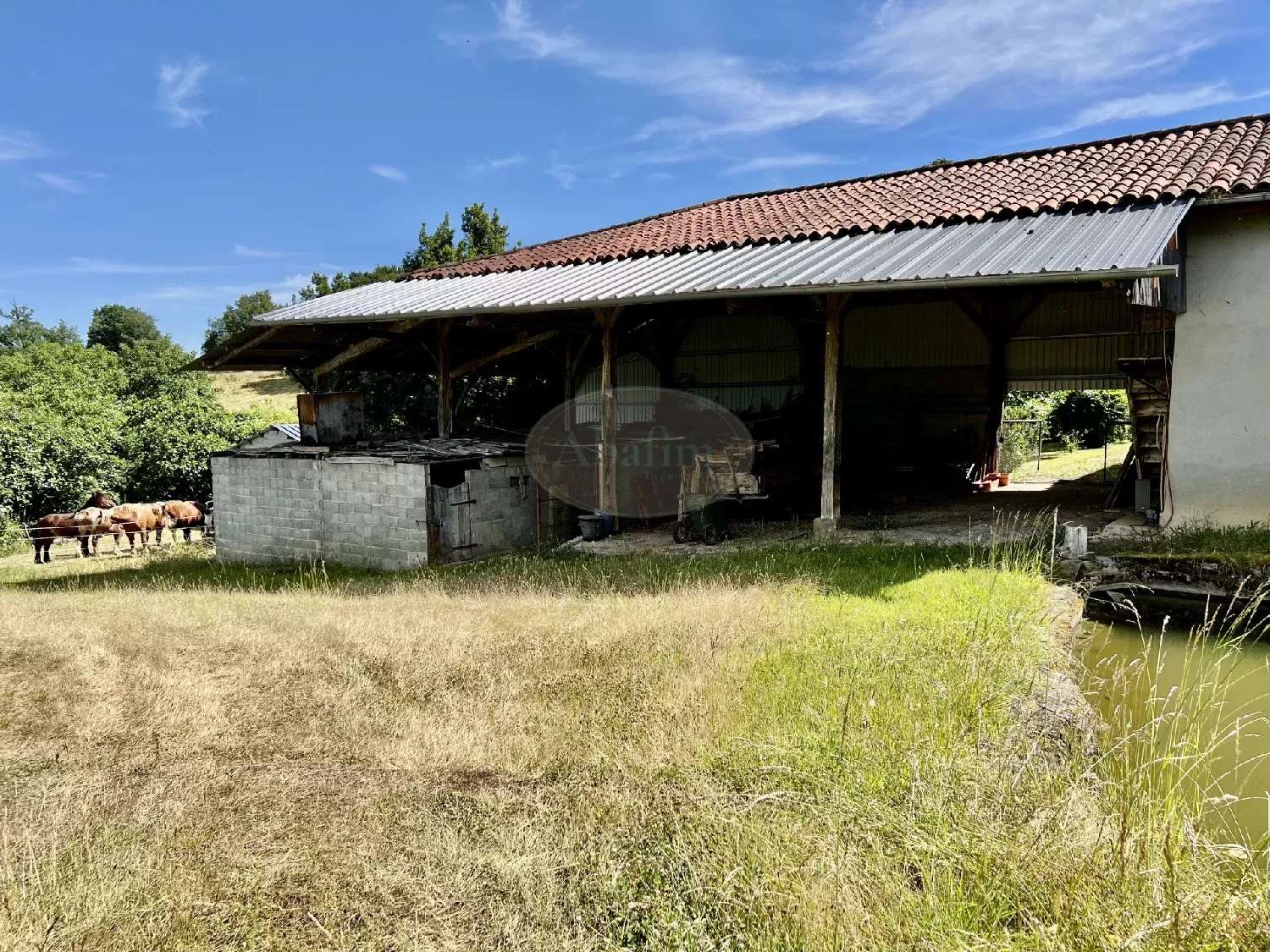  à vendre maison Cassagnabère-Tournas Haute-Garonne 5