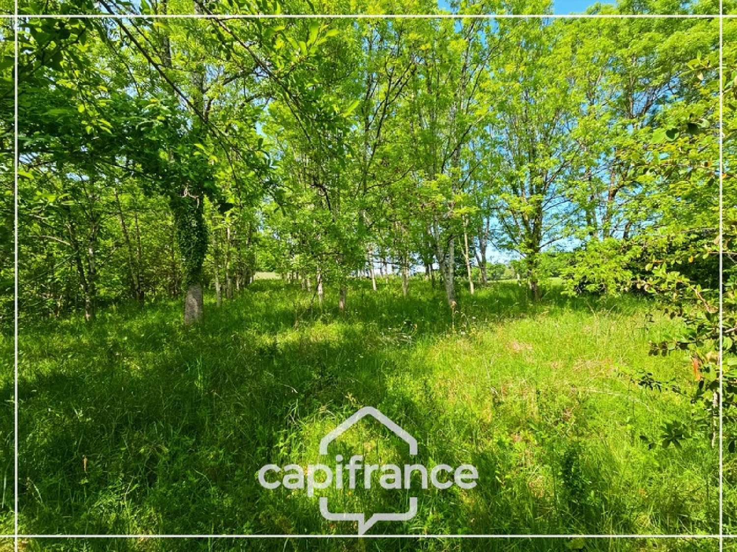  en venta casa Castelculier Lot-et-Garonne 8