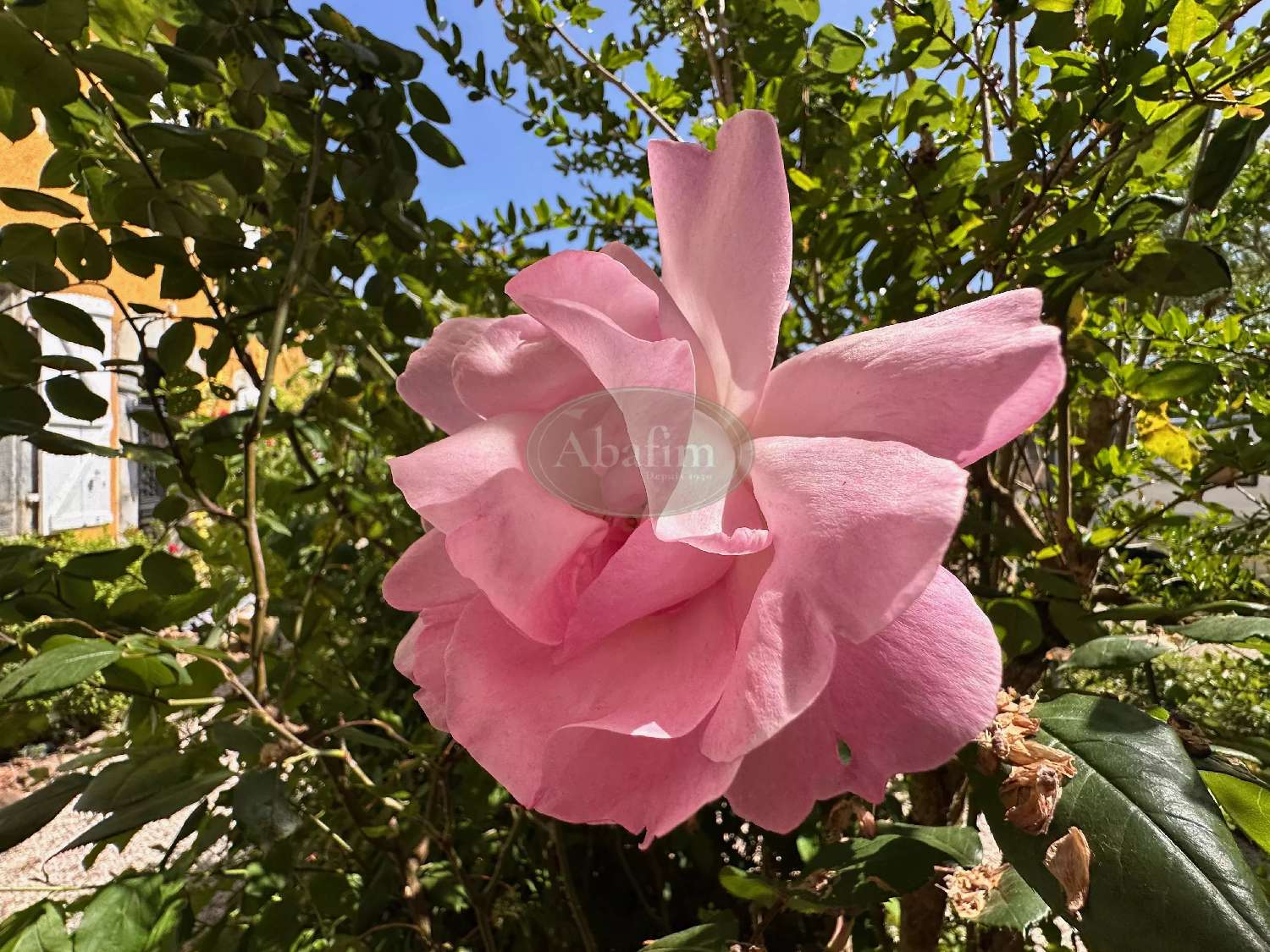  kaufen Haus Castelnau-Magnoac Hautes-Pyrénées 8