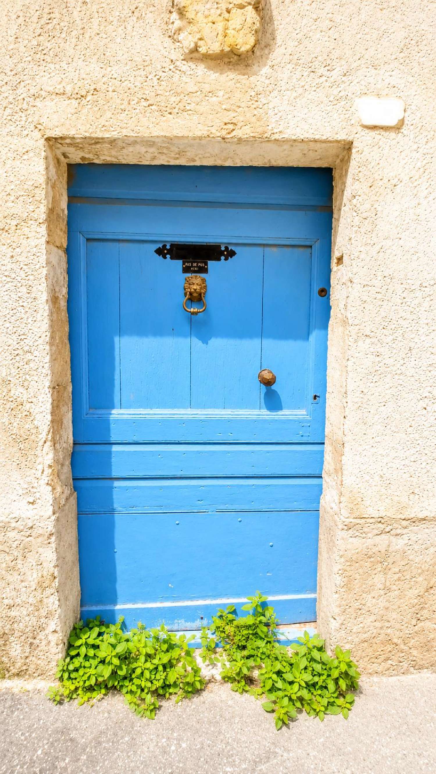 te koop huis Caussiniojouls Hérault 3