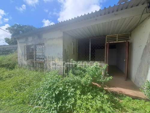 Cayenne Guyane casa foto 7328182