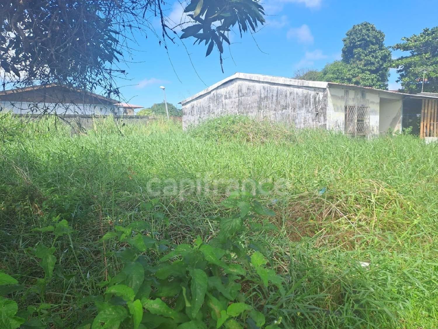  en venta casa Cayenne Guyane 3