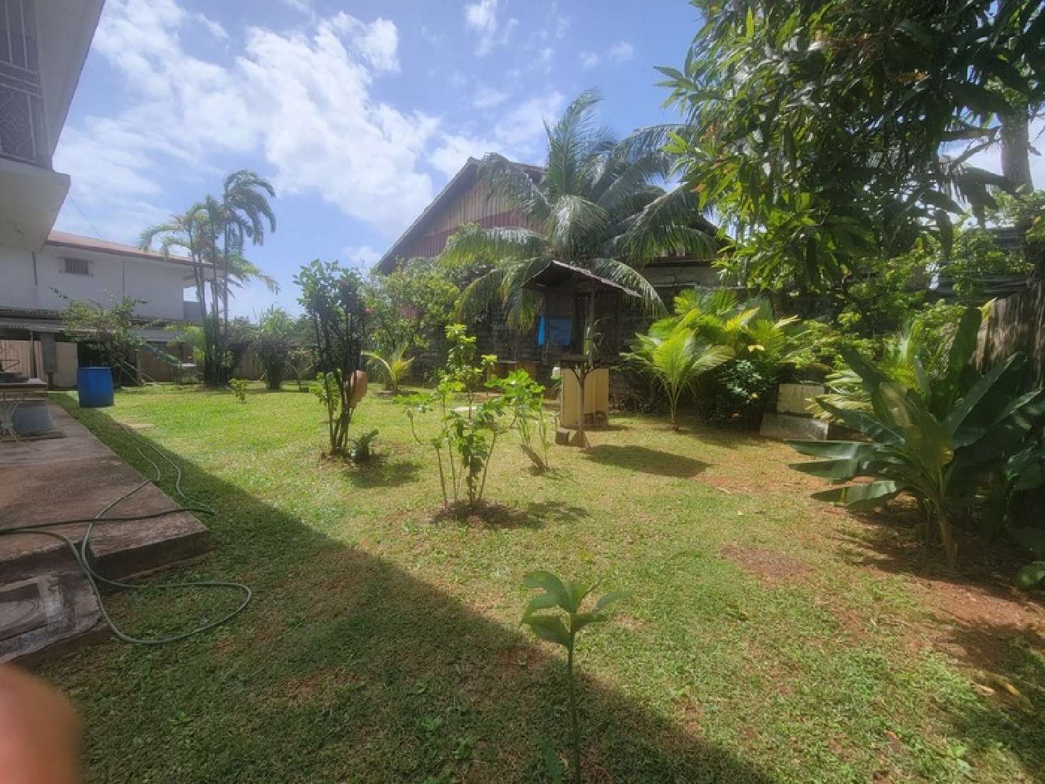 for sale house Cayenne Guyane 6