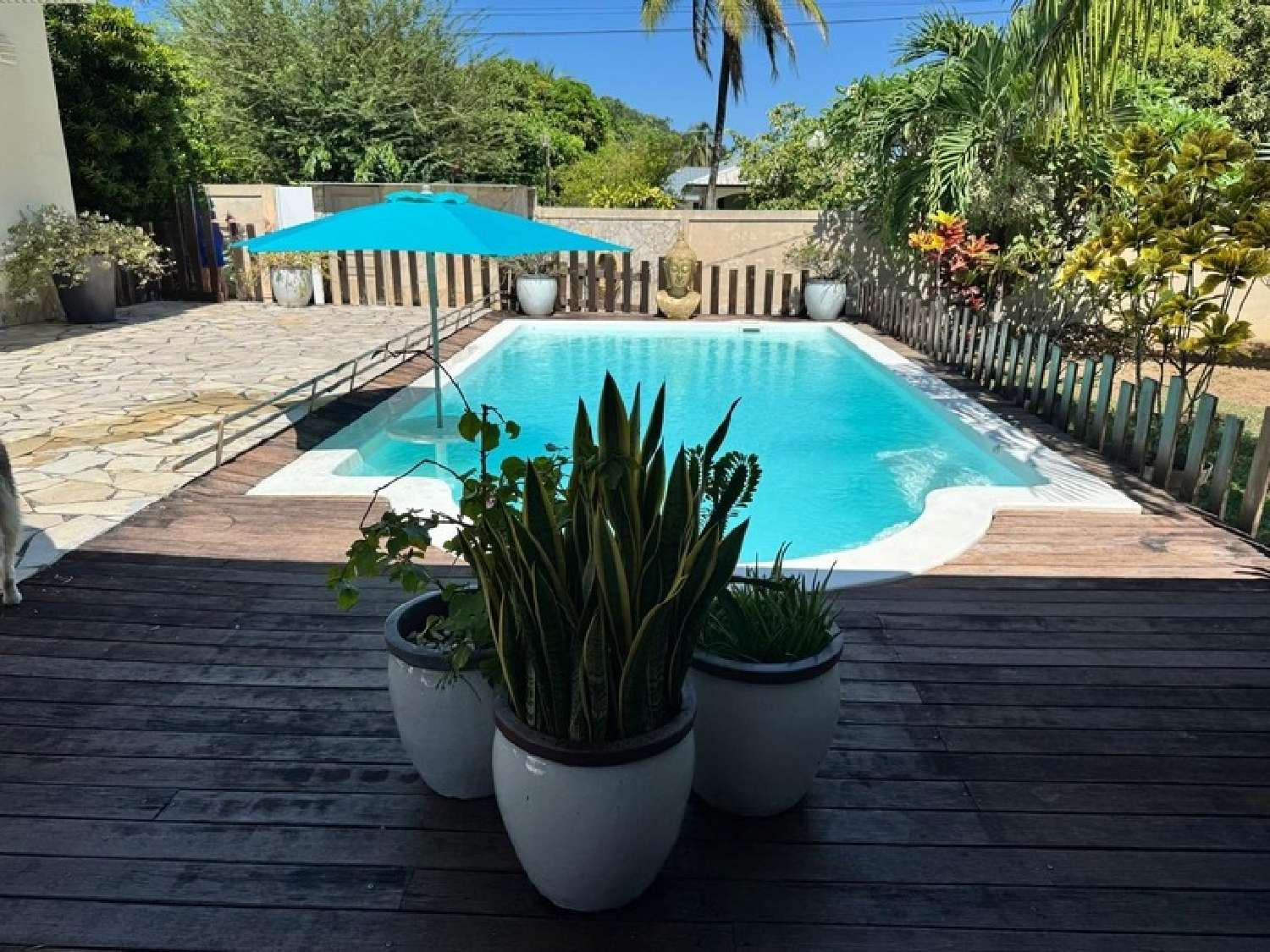  for sale house Cayenne Guyane 1