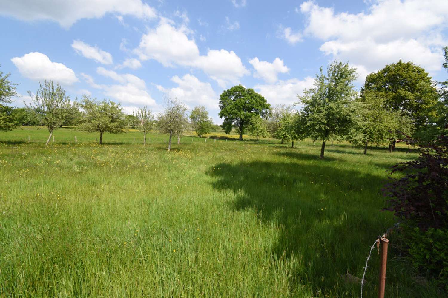  for sale house Céaucé Orne 5