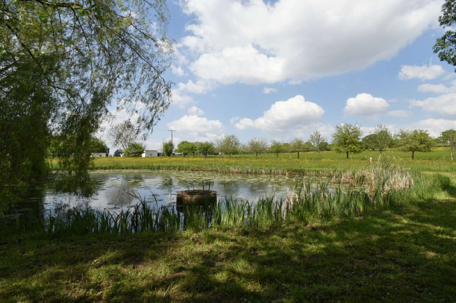  for sale house Céaucé Orne 6
