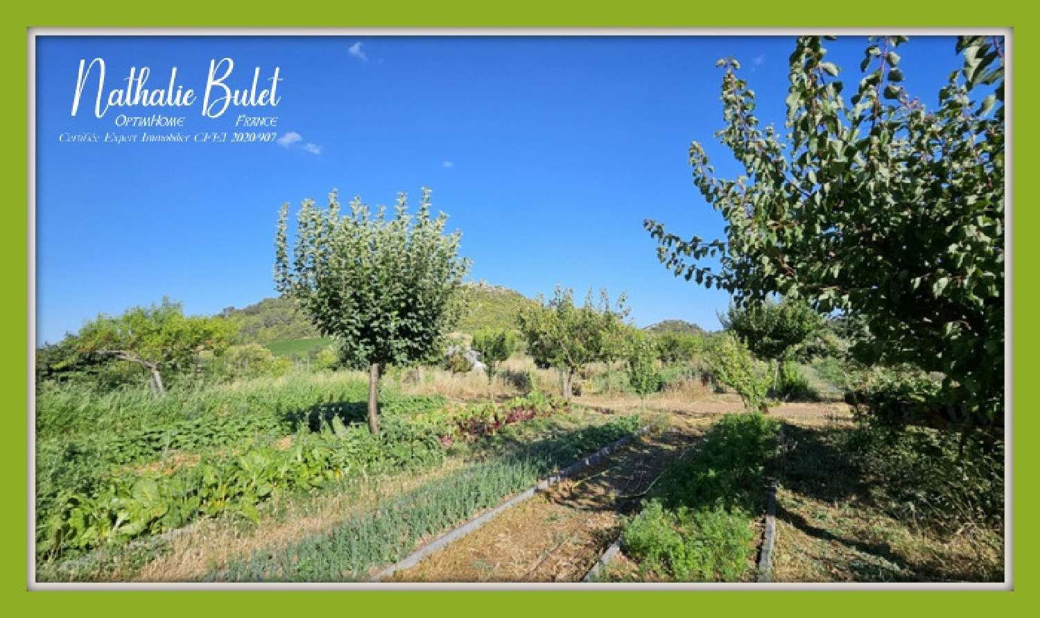  à vendre maison Cébazan Hérault 4