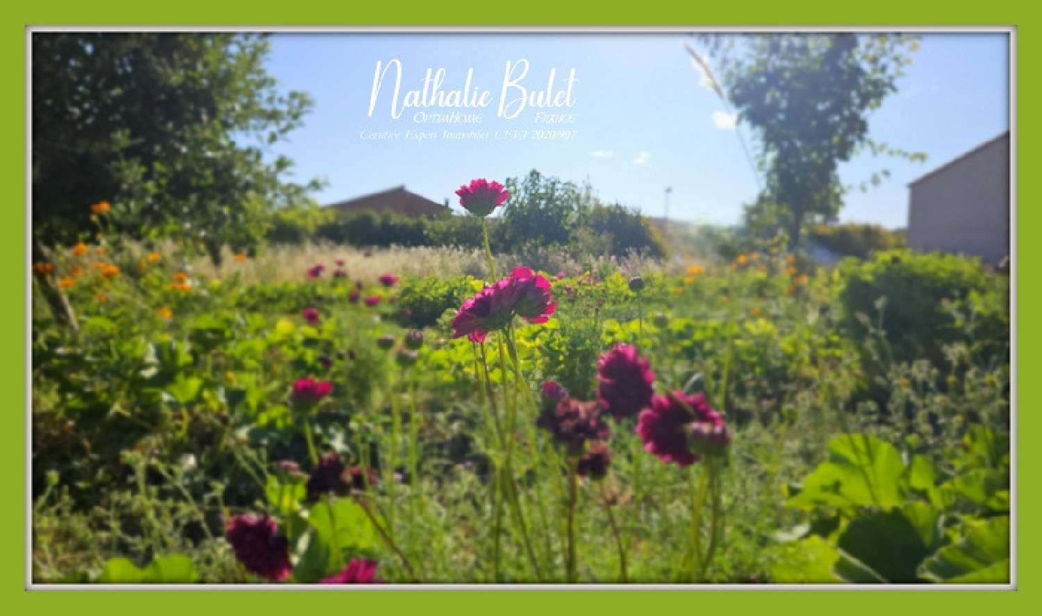  à vendre maison Cébazan Hérault 6