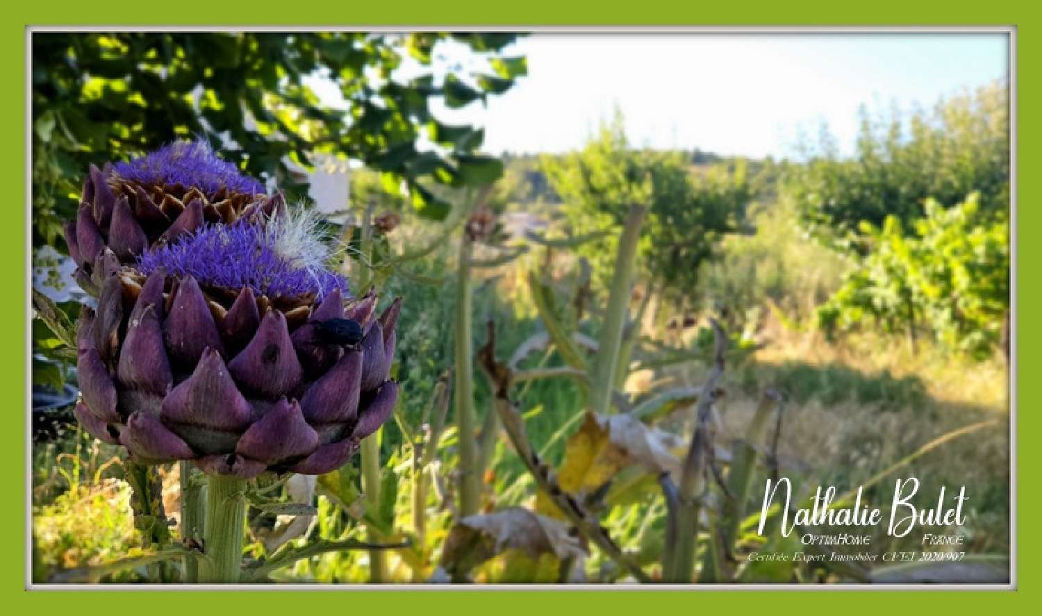  à vendre maison Cébazan Hérault 7
