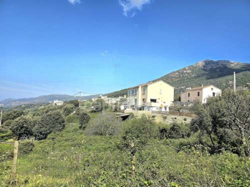 Centuri Haute-Corse maison foto 7328765