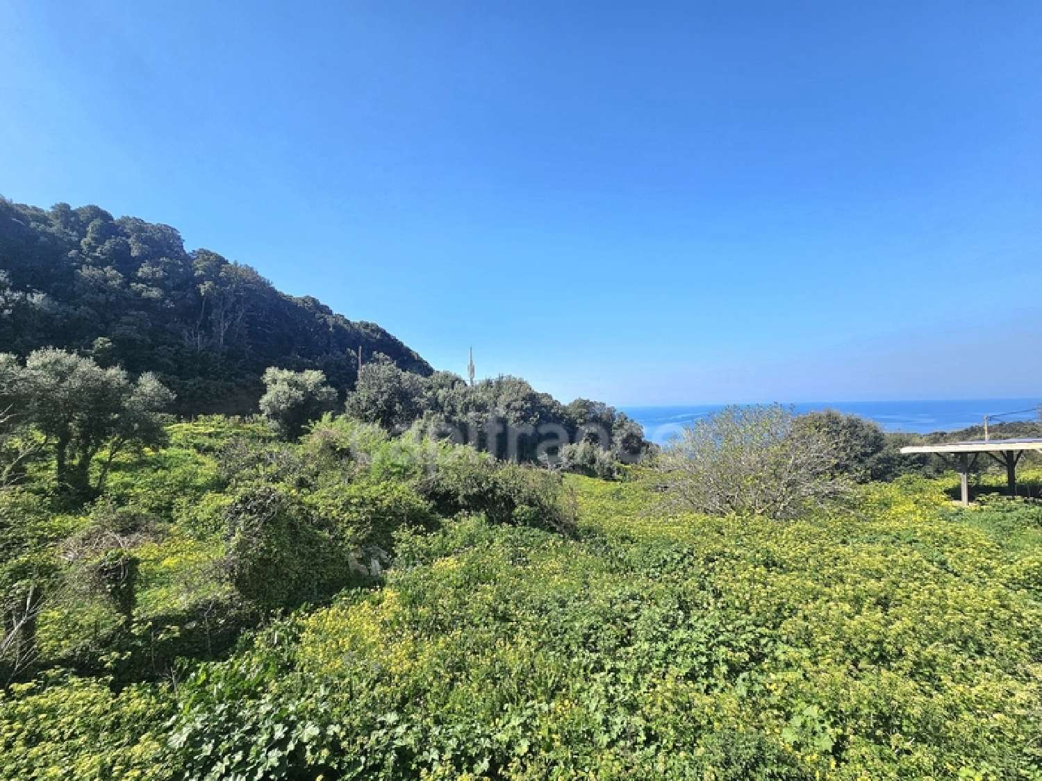  à vendre maison Centuri Haute-Corse 3