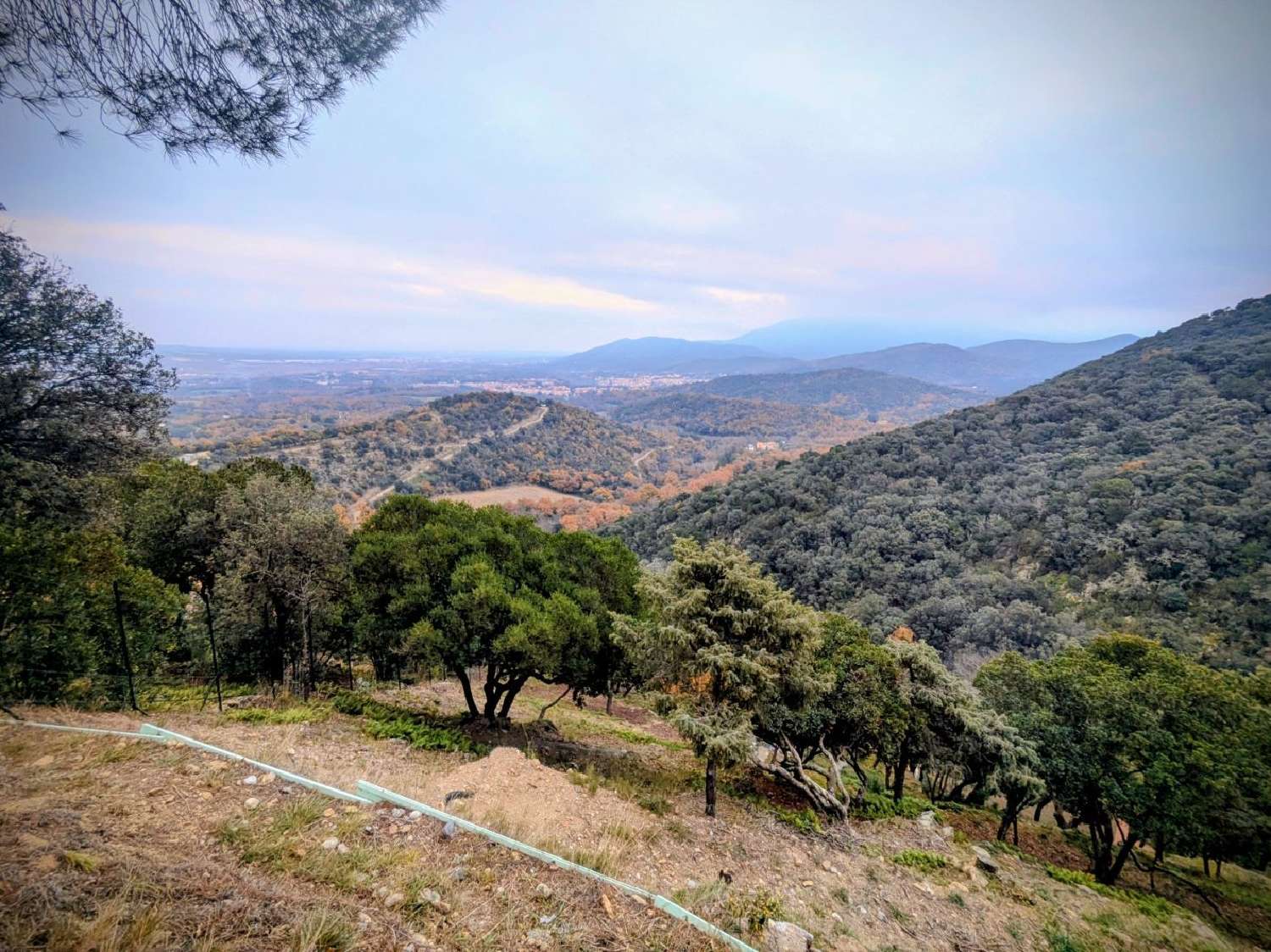  te koop huis Céret Pyrénées-Orientales 1