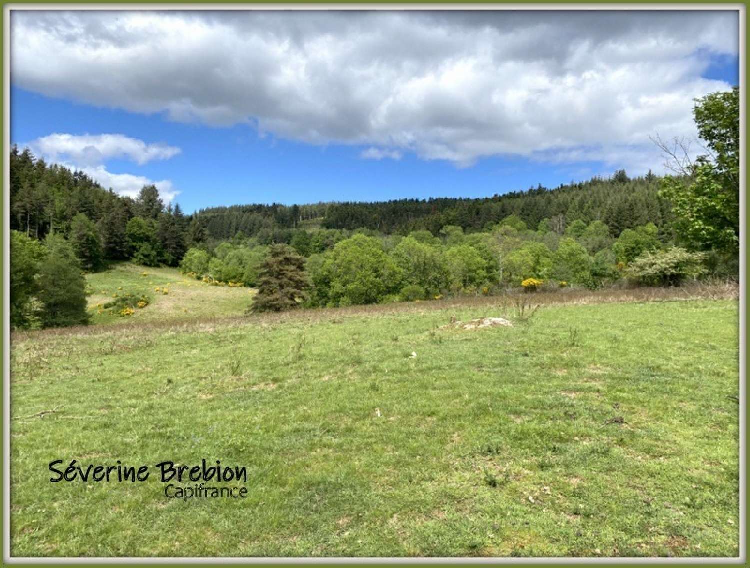  à vendre maison Cervières Loire 3