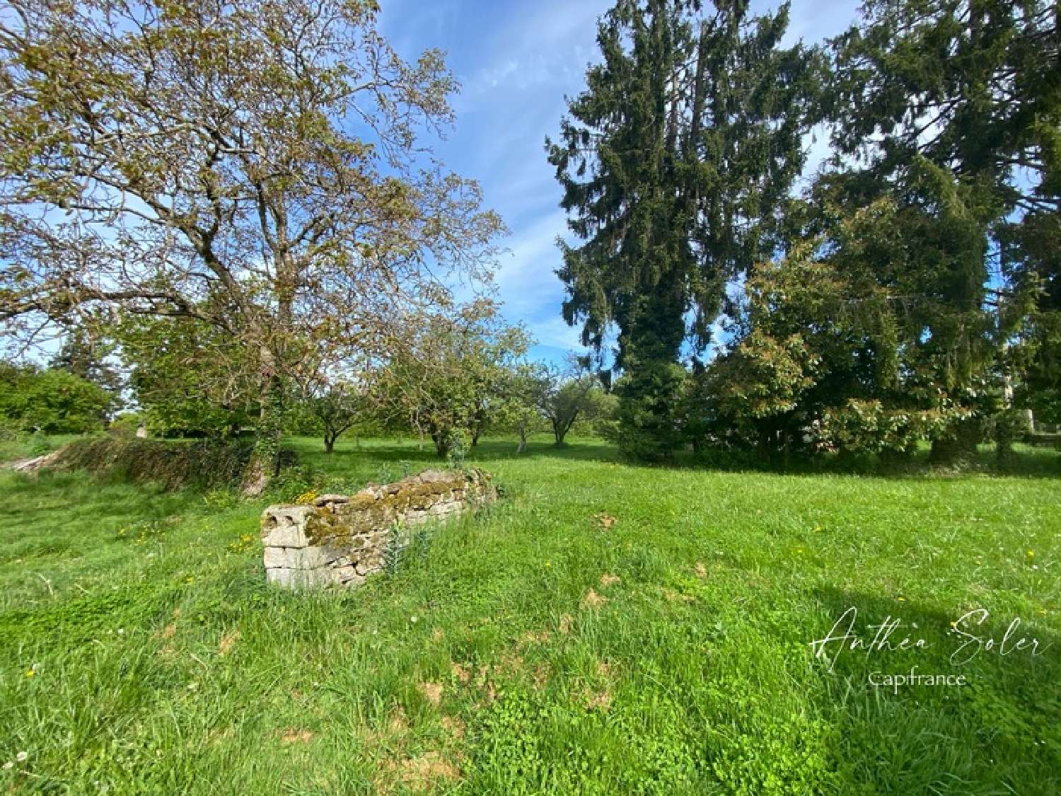  for sale house Champallement Nièvre 2