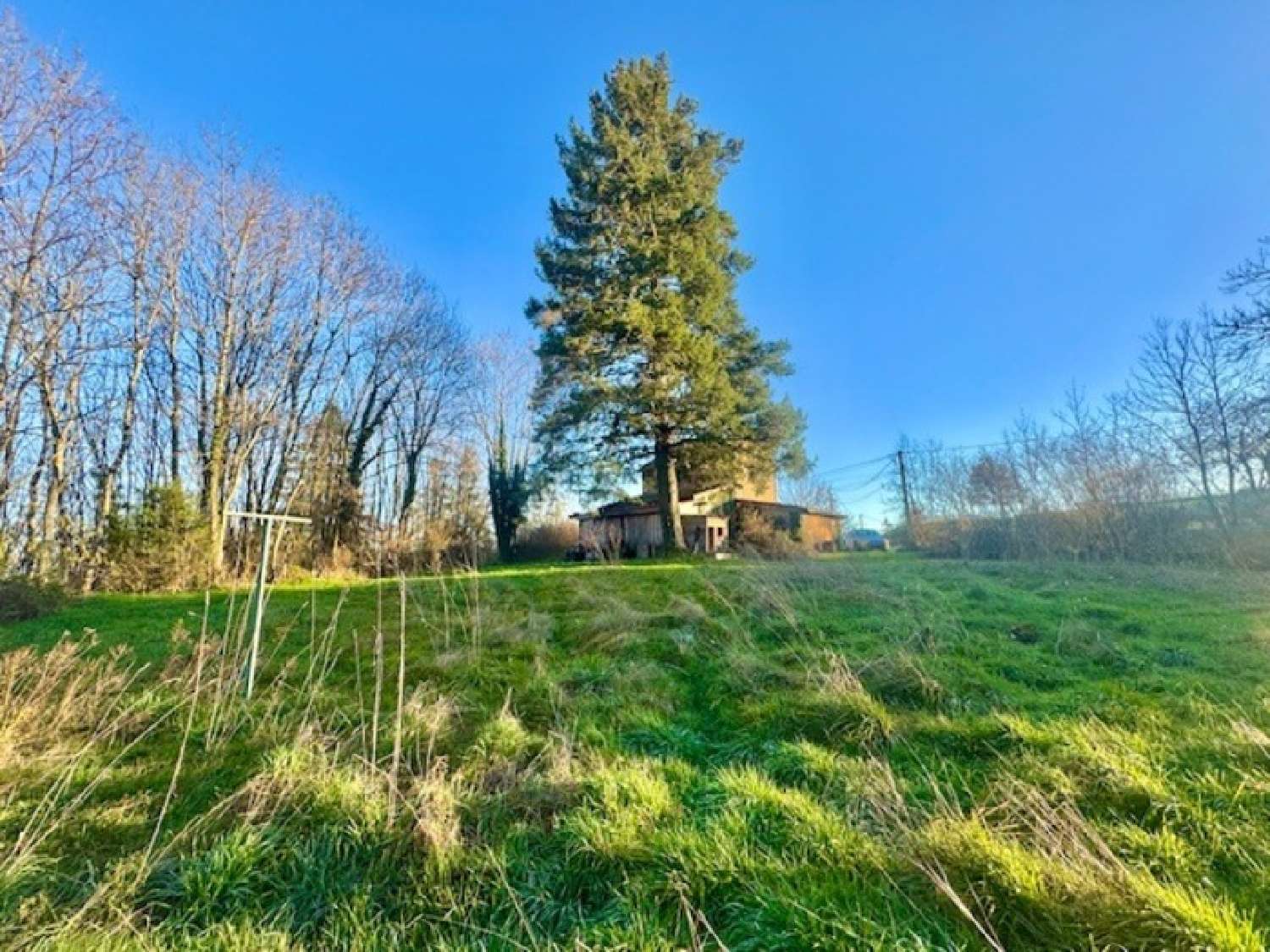 for sale house Changy Loire 5