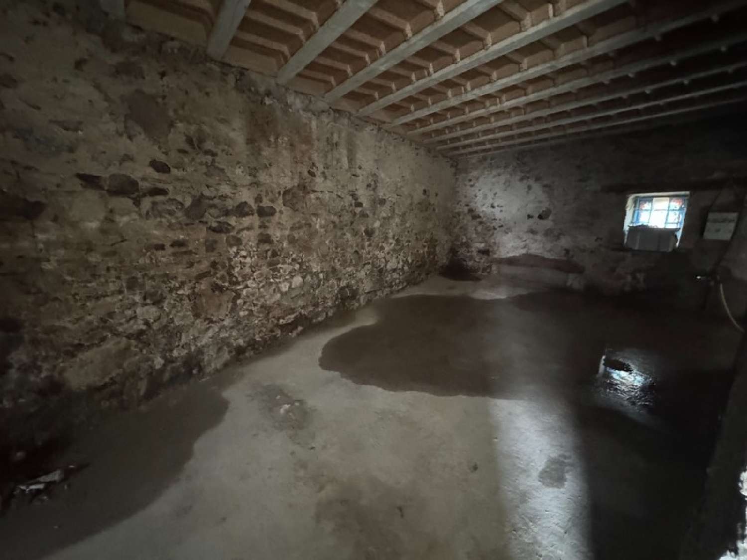  à vendre maison Chapareillan Isère 3
