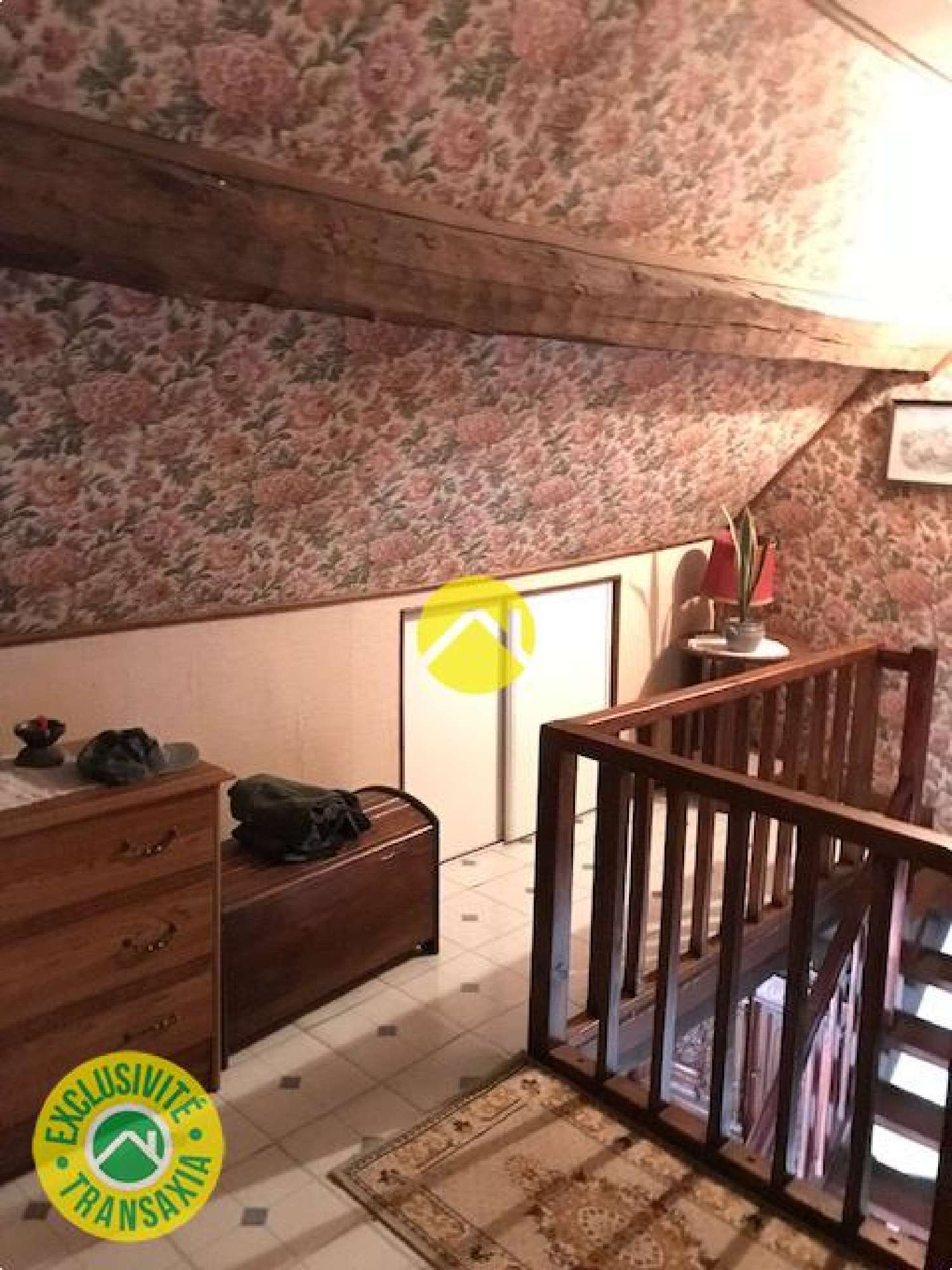 te koop huis Châteauneuf-sur-Cher Cher 3