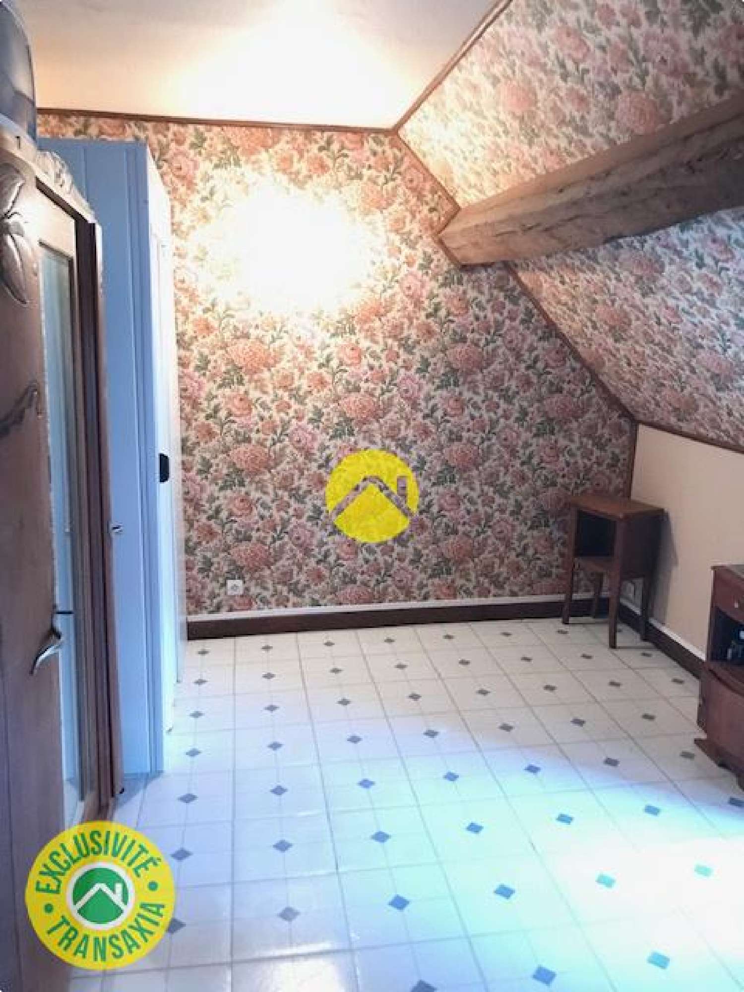 te koop huis Châteauneuf-sur-Cher Cher 8